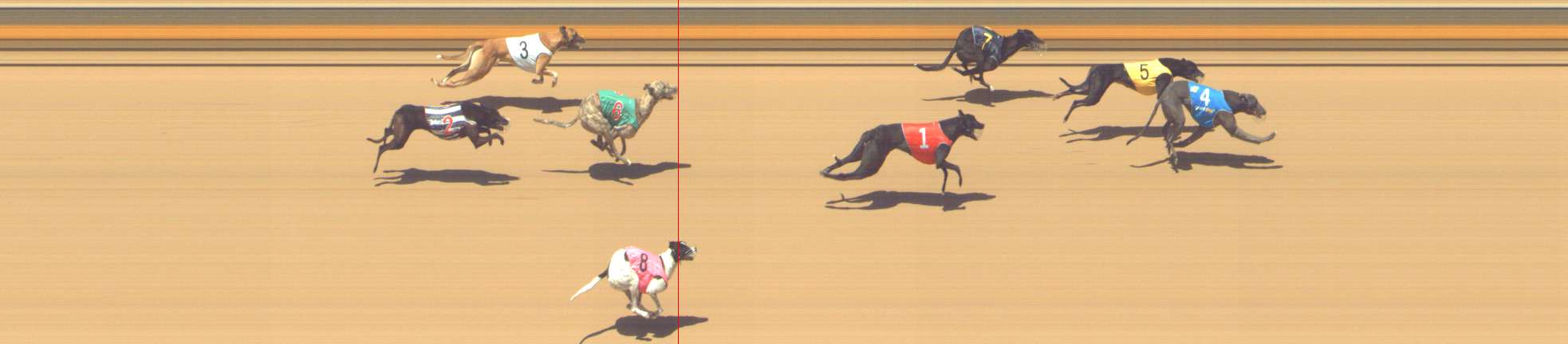 Race result finish photo